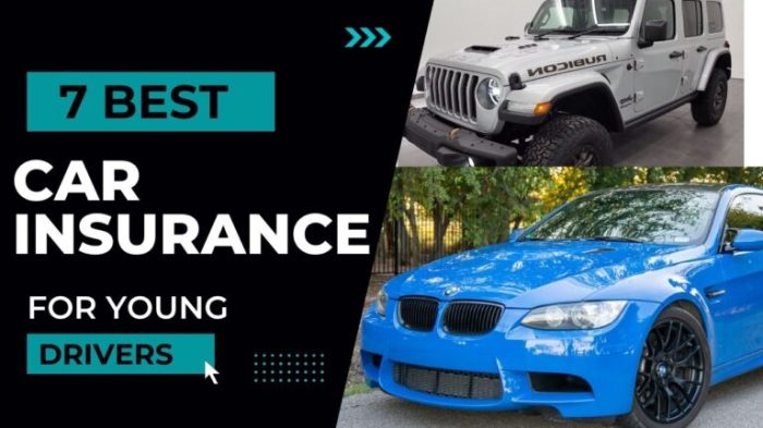 What are the best car insurance quotes for young drivers?