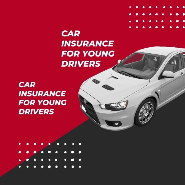 What are the best car insurance quotes for high-risk drivers?