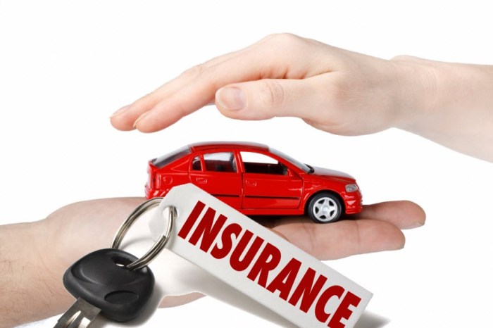 What are car insurance quotes with discounts?