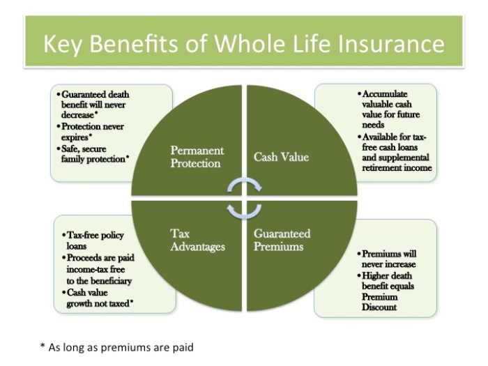 Joint Life Insurance Policy