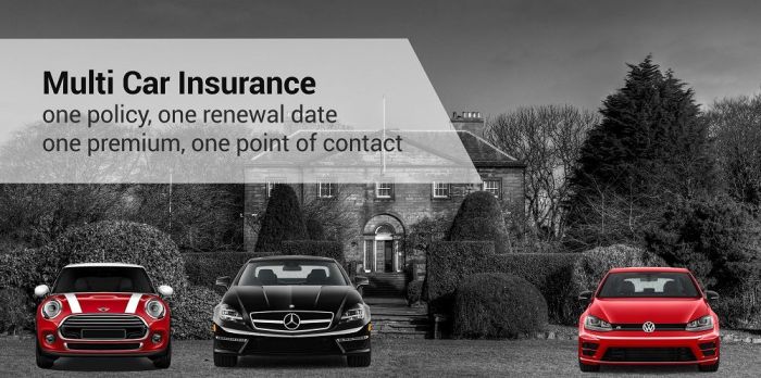 What are multi-car insurance quotes?