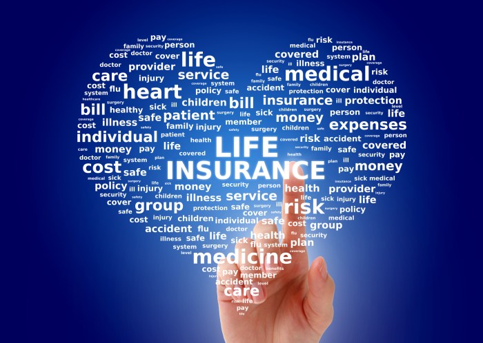 Joint Life Insurance Policy