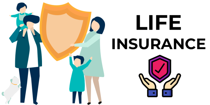 Term life insurance