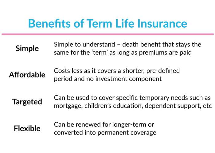 Term life insurance