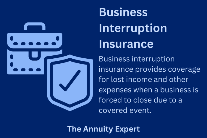 Interruption business insurance