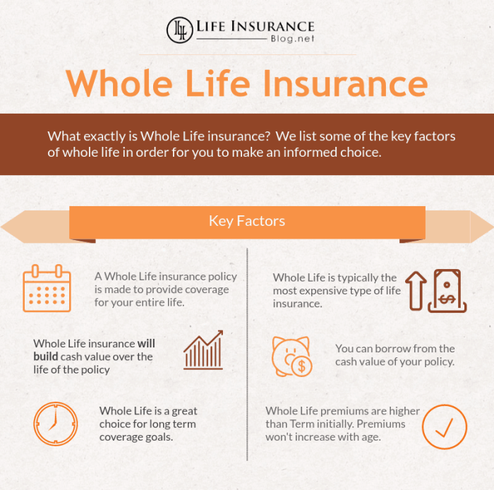 Insurance life whole policies types benefits death benefit does work